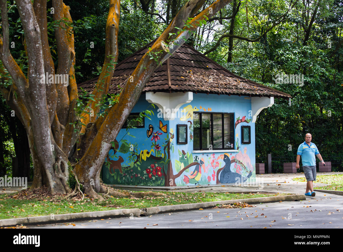 A man wearing blue shirt walking out from a colourful toilet block at Mount Faber Park, Singapore. Stock Photo