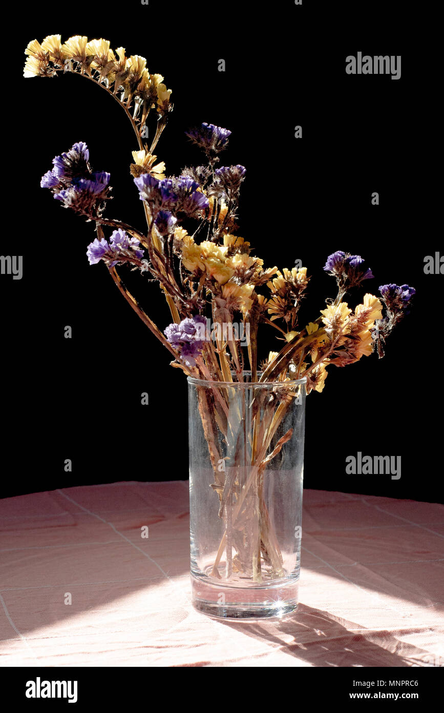 Dried flowers vase hires stock photography and images Alamy