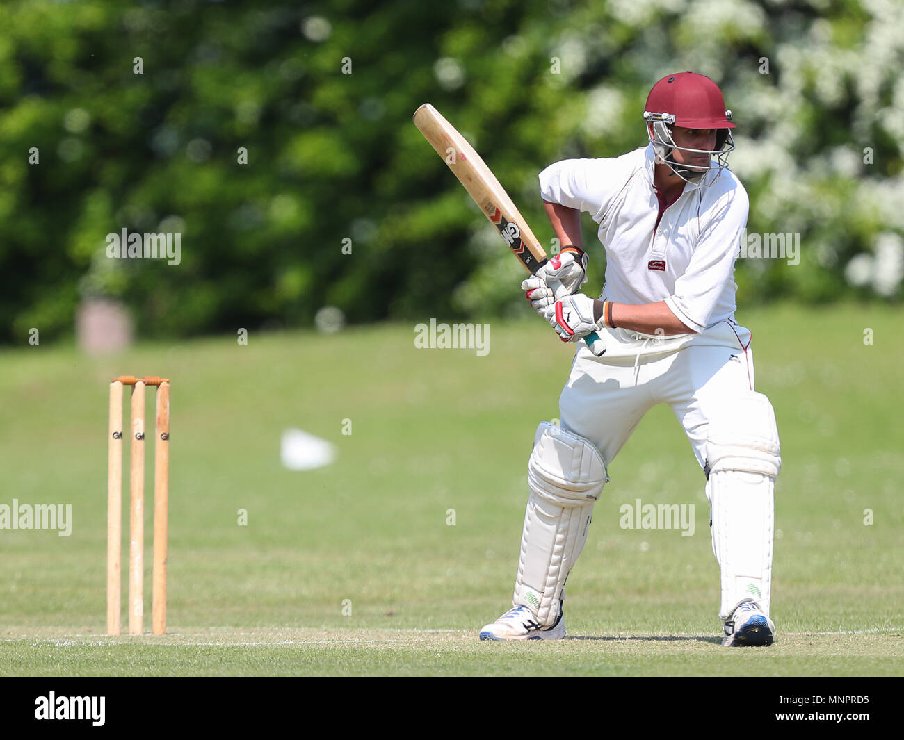Rob pitman hi-res stock photography and images - Alamy