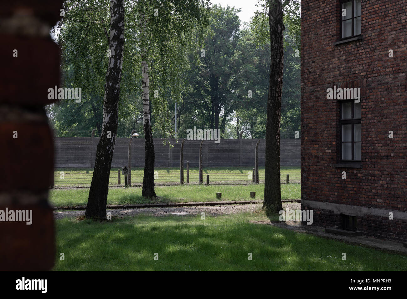 Inside the barbed wire fence at the Nazi Concentration Camp Auschwitz Stock Photo