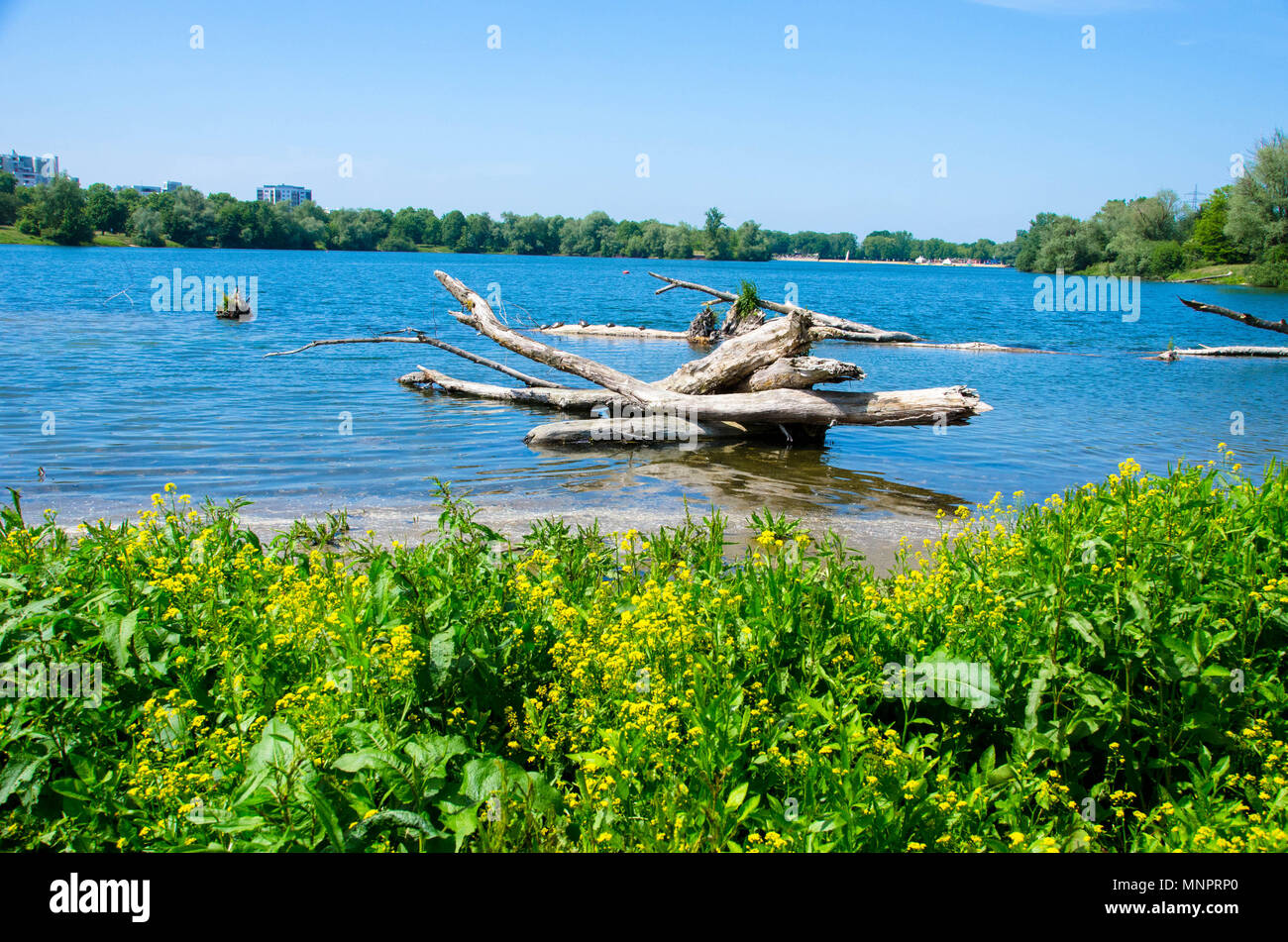 Gifiz lake in Offenburg in Germany Stock Photo - Alamy