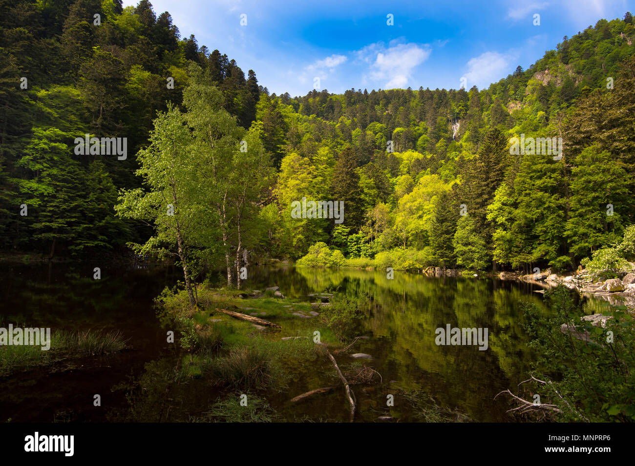 The lake "Fischboedle" in the Vosges mountains in France Stock Photo