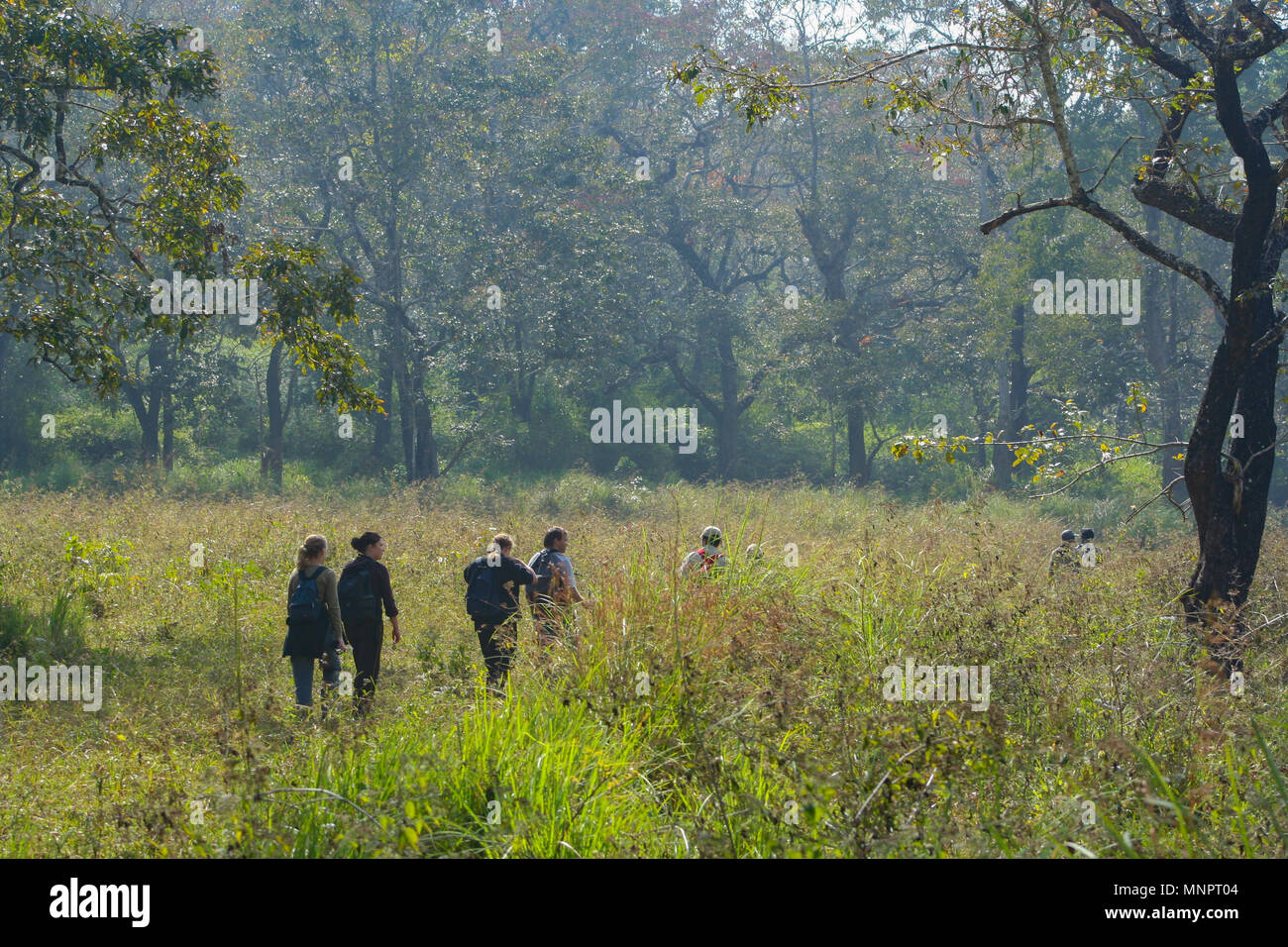 Travellers trekking through Periyar Forest (Kerala) Stock Photo