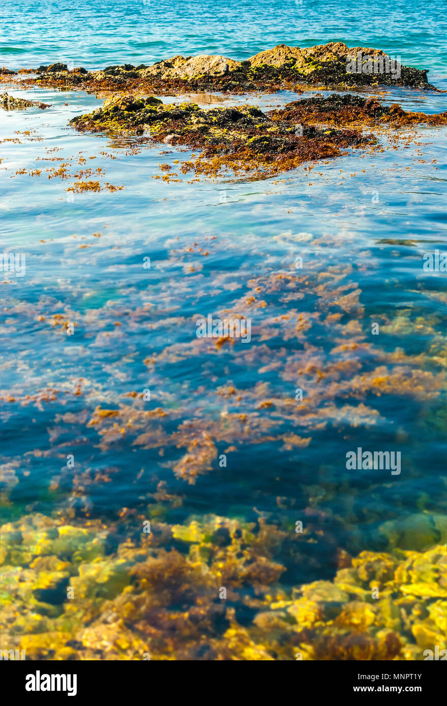 Vertical shot clear tranquil hi res stock photography and images alamy