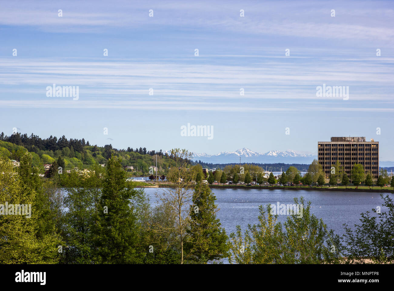 Olympia Washington USA May 5 2018 People Stroll And Run Through 