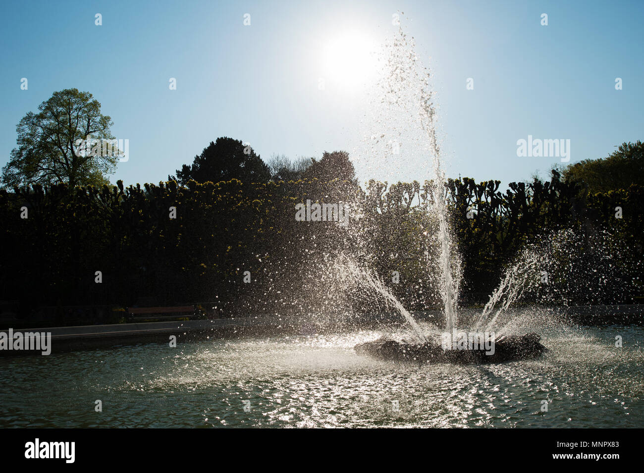 Salzburg Mirabellgarten, beautiful day, waterspout fountain Stock Photo
