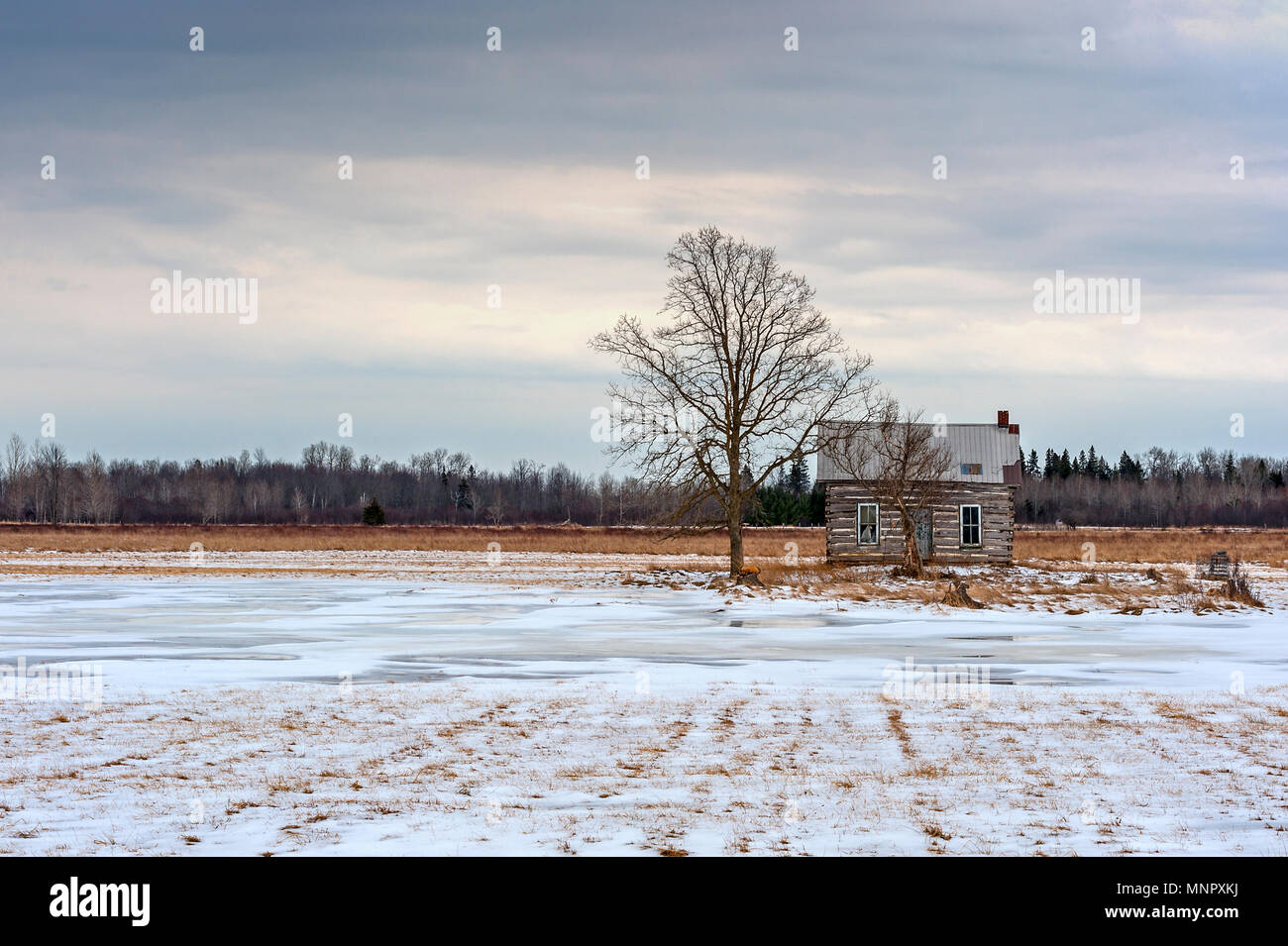 Traditional log home in frozen snow covered meadow Stock Photo