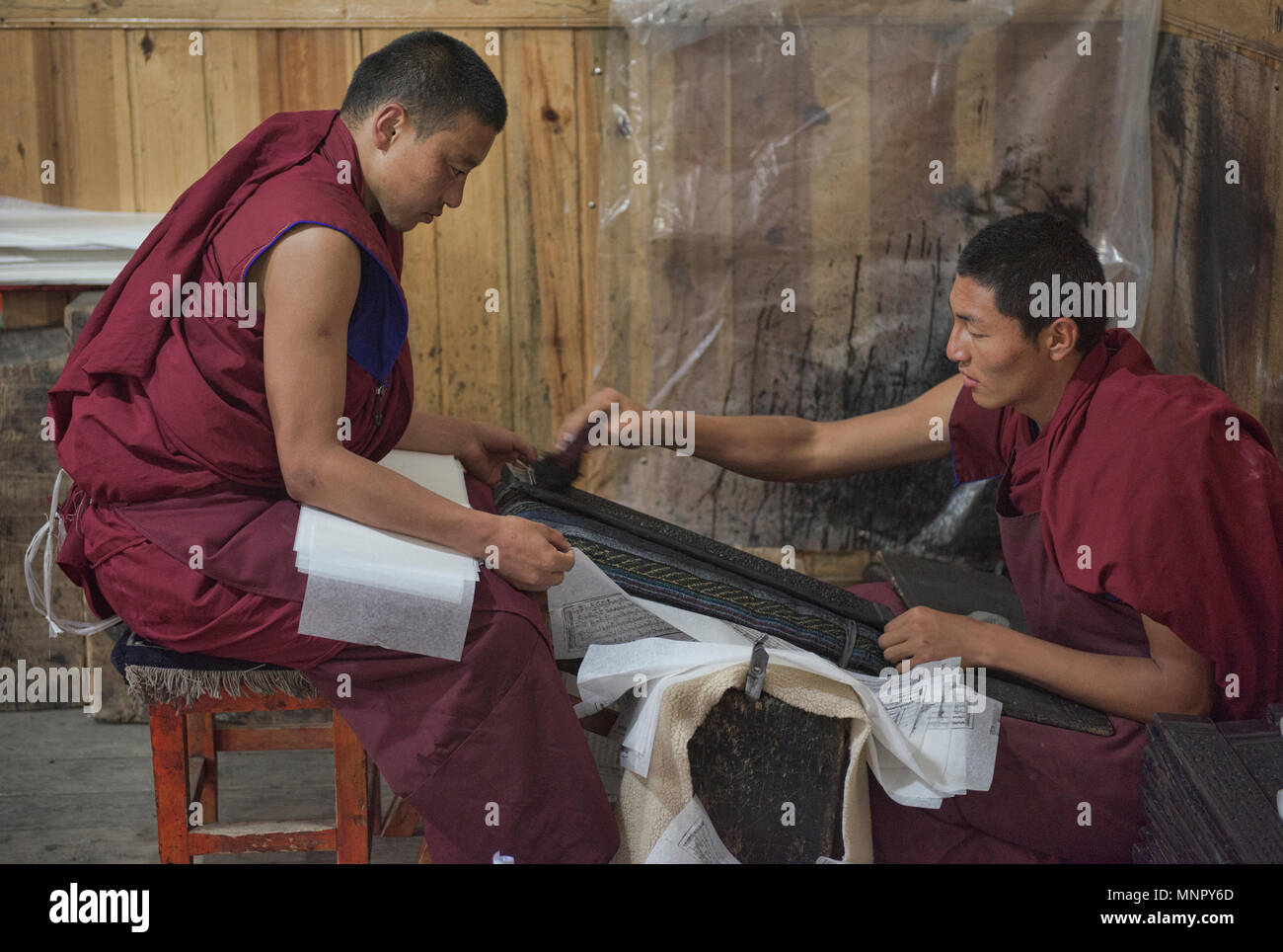 Monks making handmade paper scriptures and woodblock prints inside the holy Bakong Scripture Printing Press Monastery in Dege, Sichuan, China Stock Photo