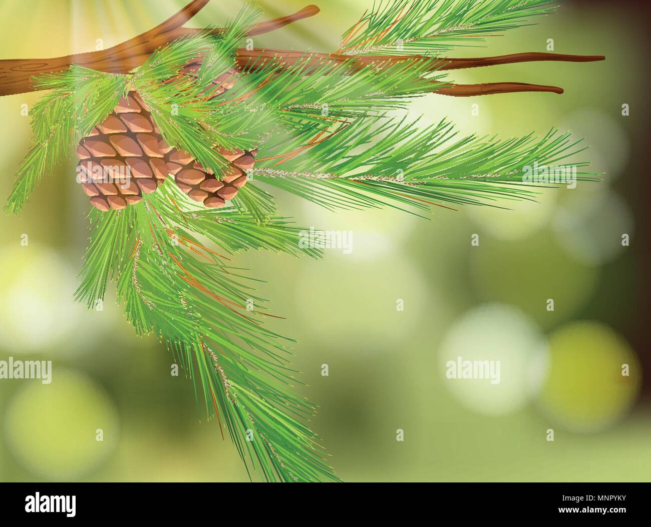 Pine Cone on Natural Green Background illustration Stock Vector Image ...
