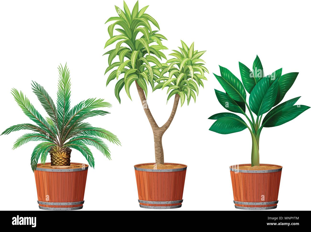 A Set of Plant in Pot illustration Stock Vector Image & Art - Alamy