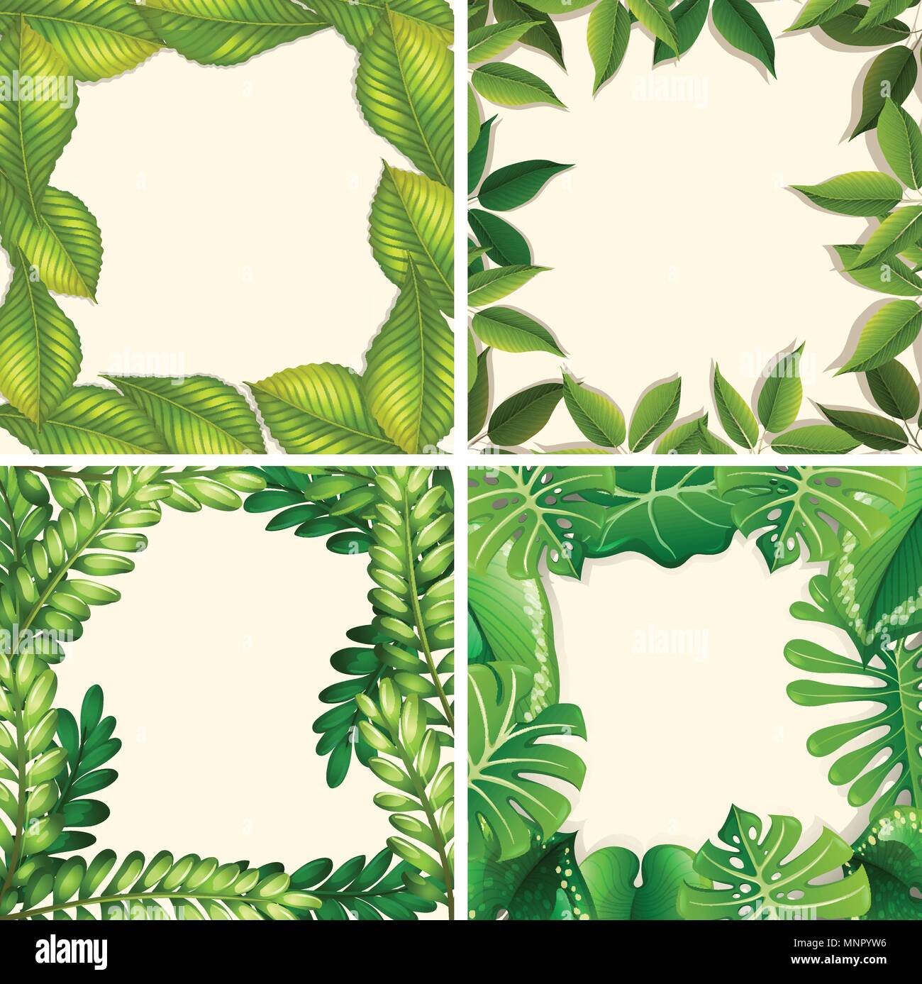 Green leaf border hi-res stock photography and images - Alamy