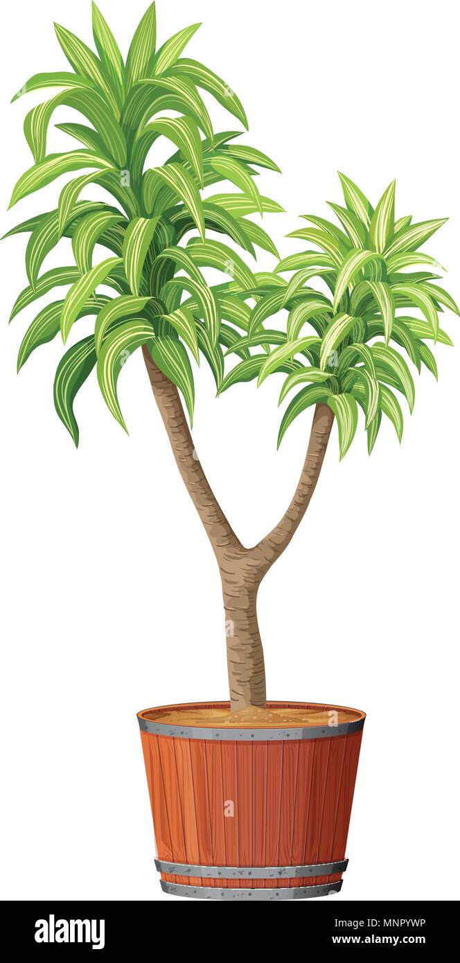 A Tree Planting in the Pot illustration Stock Vector Image & Art - Alamy