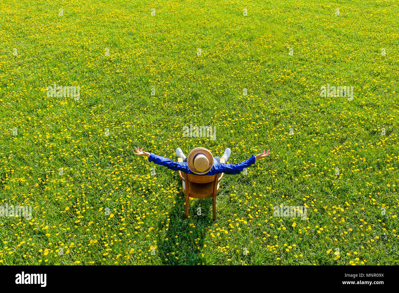 Spring Meadow with Dandelion, Woman with Straw Hat Leans on Chair, Bavaria, Germany Stock Photo