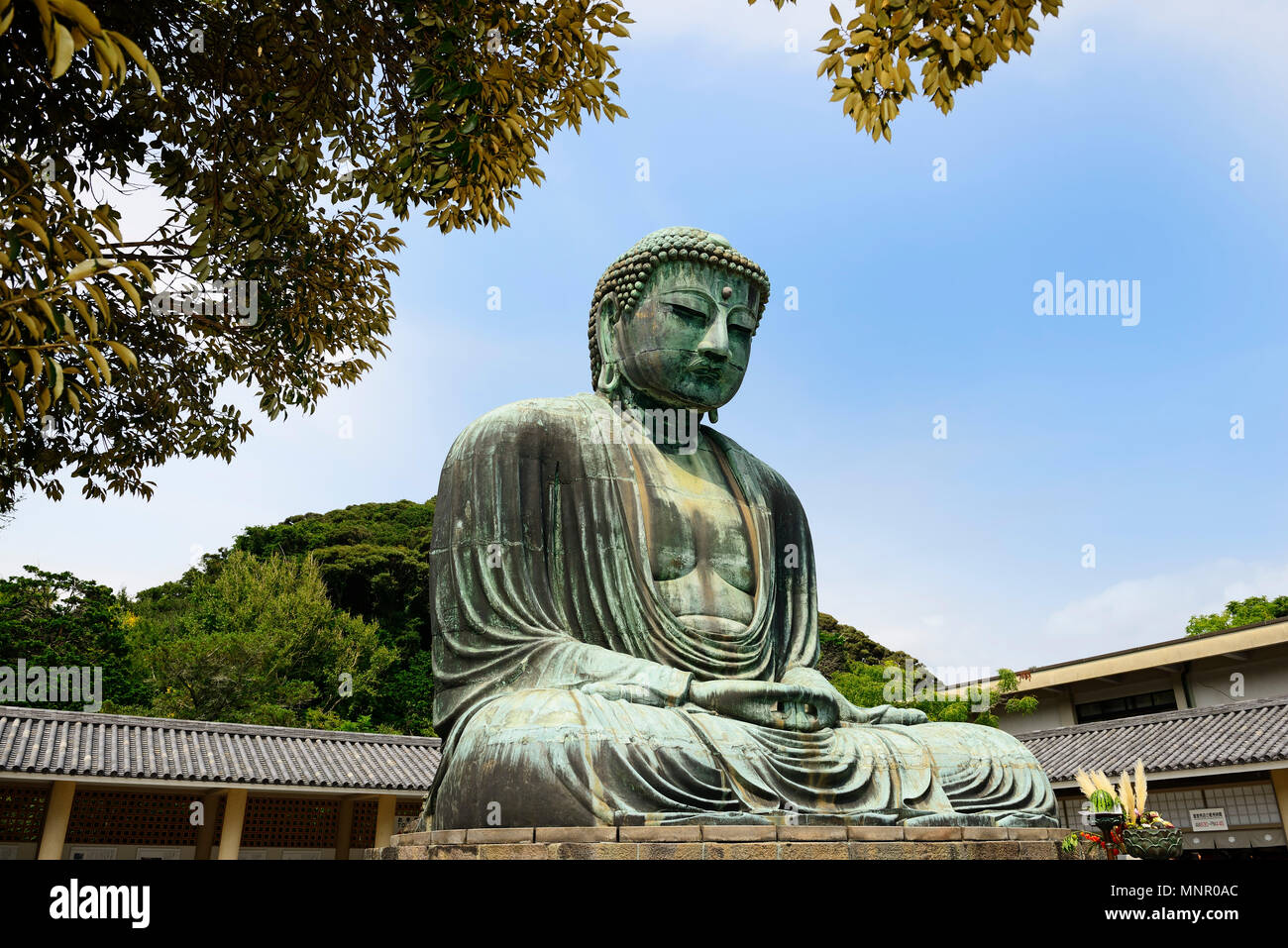 Sitting Buddha Amida Nyorai Buddhist Temple Kōtoku In Kamakura Honshu Island Japan Stock Photo Alamy Sitting Buddha Amida Nyorai Buddhist Temple Kōtoku In Kamakura Honshu Island Japan Stock Photo Alamy