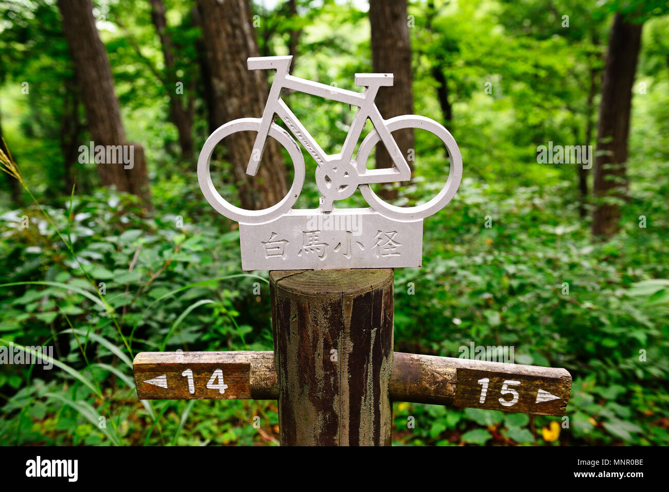 Sign for cyclists, mountain bikers on the way, Hakuba, Japanese Alps, Japan Stock Photo