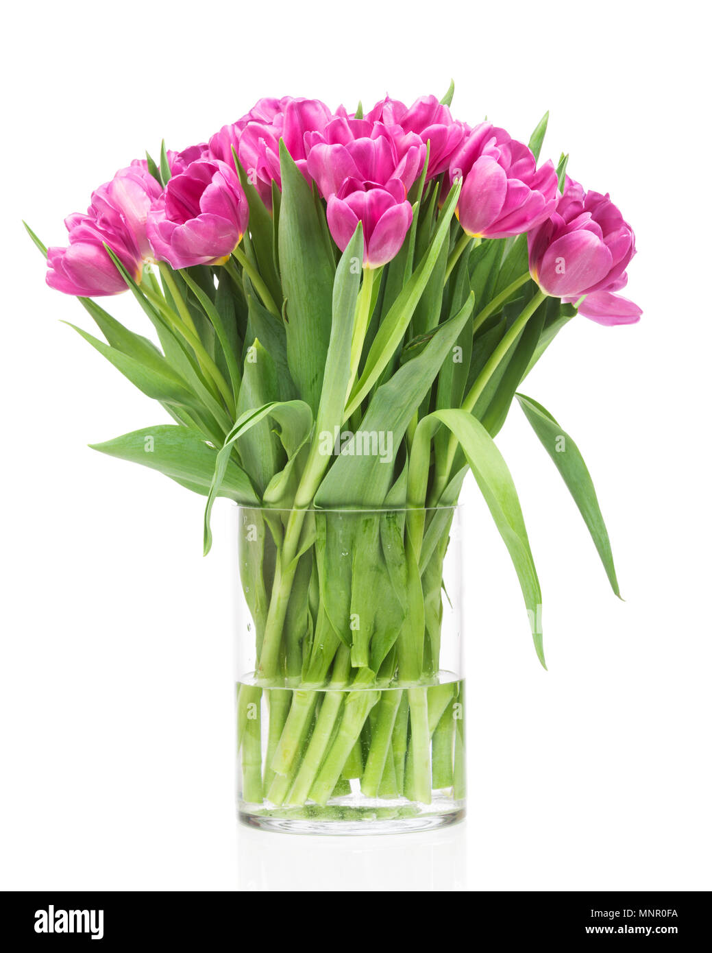 Bouquet of tulips flowers in the glass vase isolated on white ...