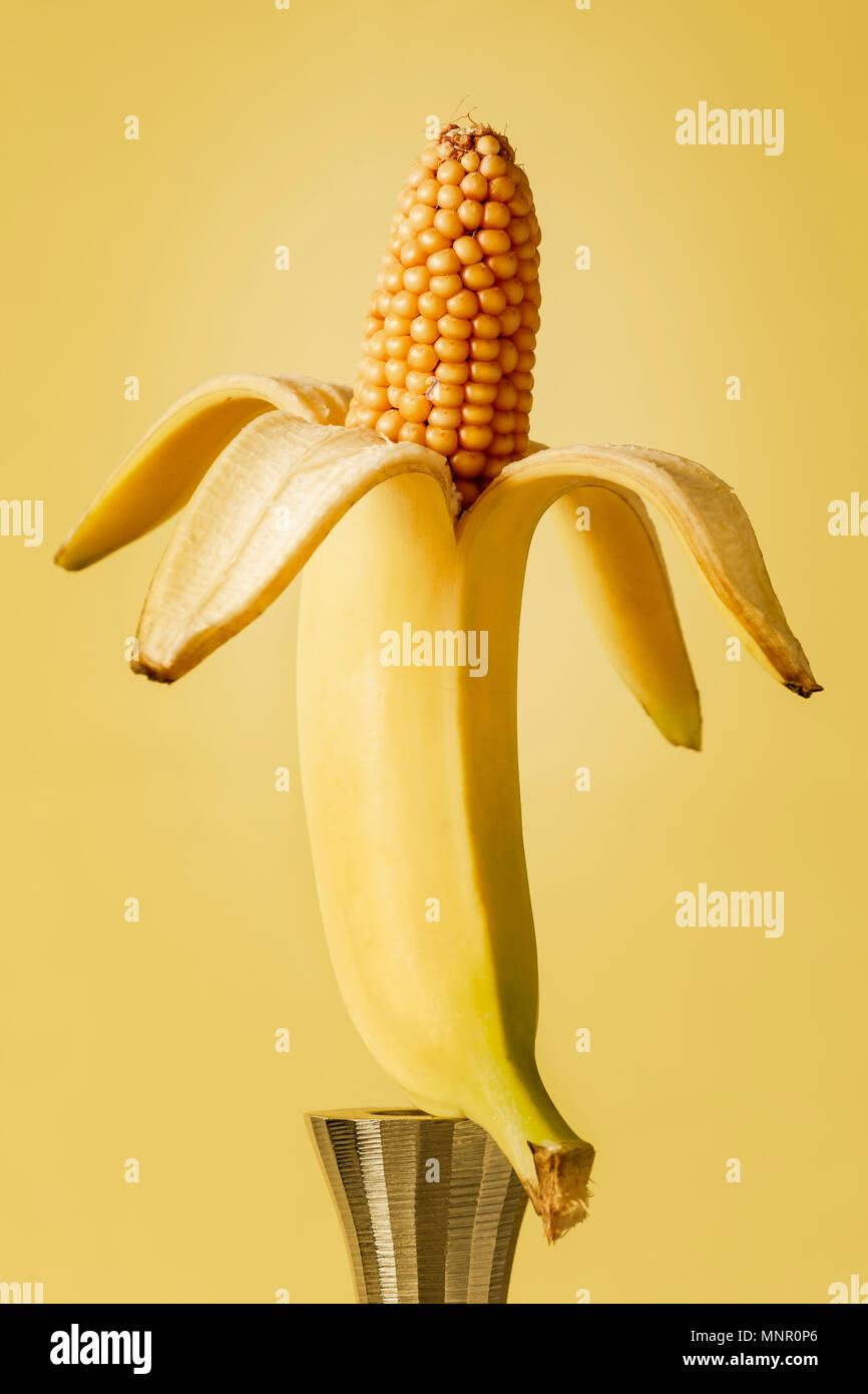 banana is displayed on an iron candlestick from which comes a corn. surealisctic image of food manipulation concept Stock Photo