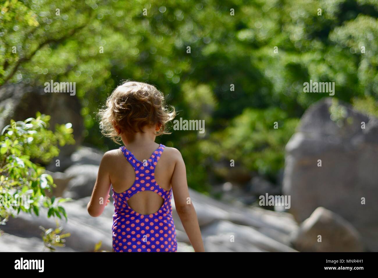 togs swimwear sale