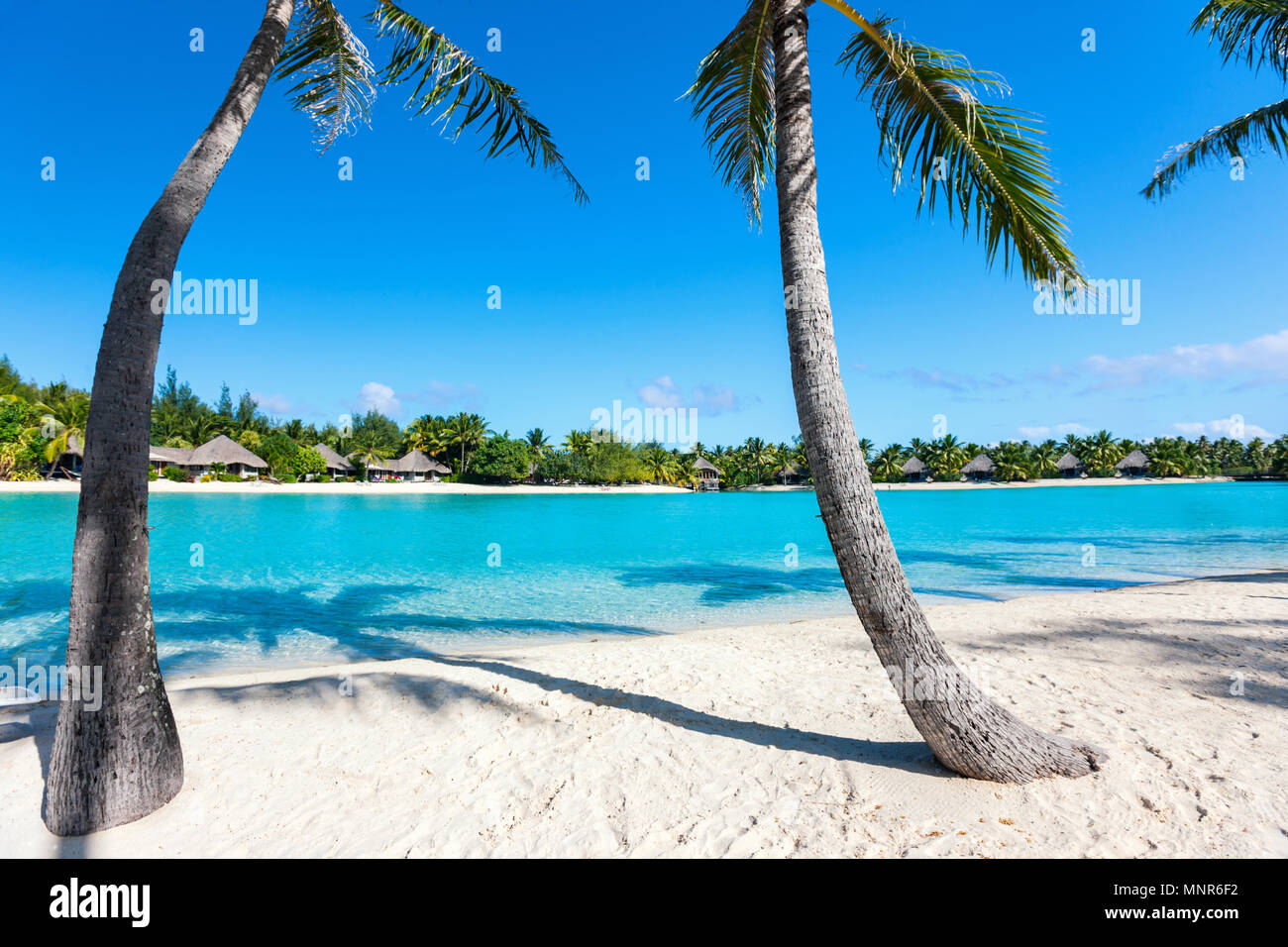 Beautiful beach on Bora Bora island in French Polynesia Stock Photo Alamy