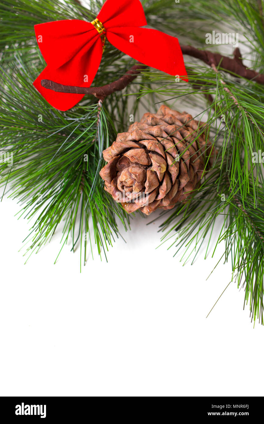 Cone and christmas tree isolated on white Stock Photo - Alamy