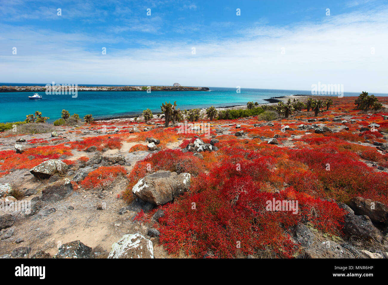 Beautiful landscape of Galapagos South Plaza island Stock Photo