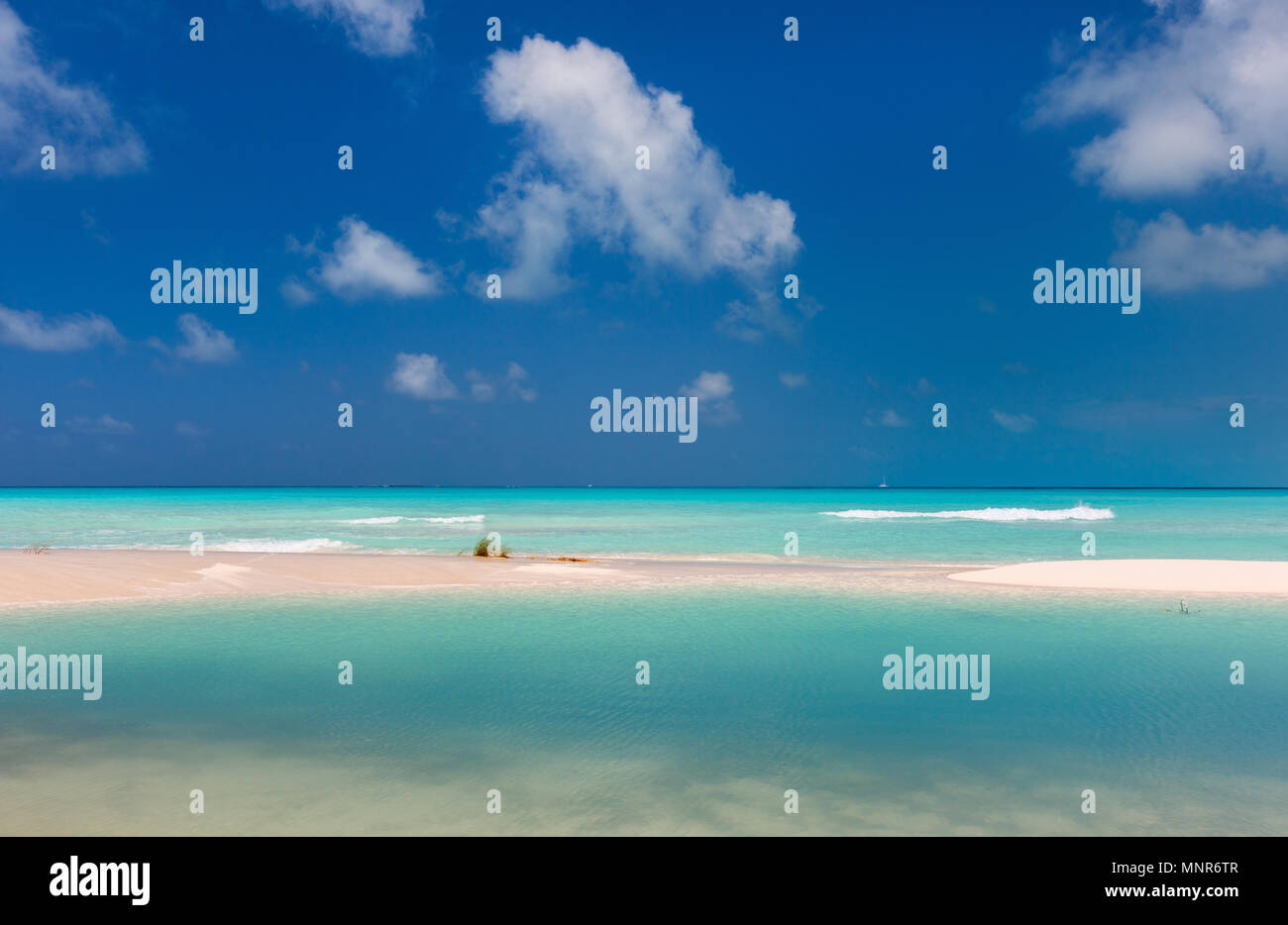 Beautiful beach caribbean hi-res stock photography and images - Alamy