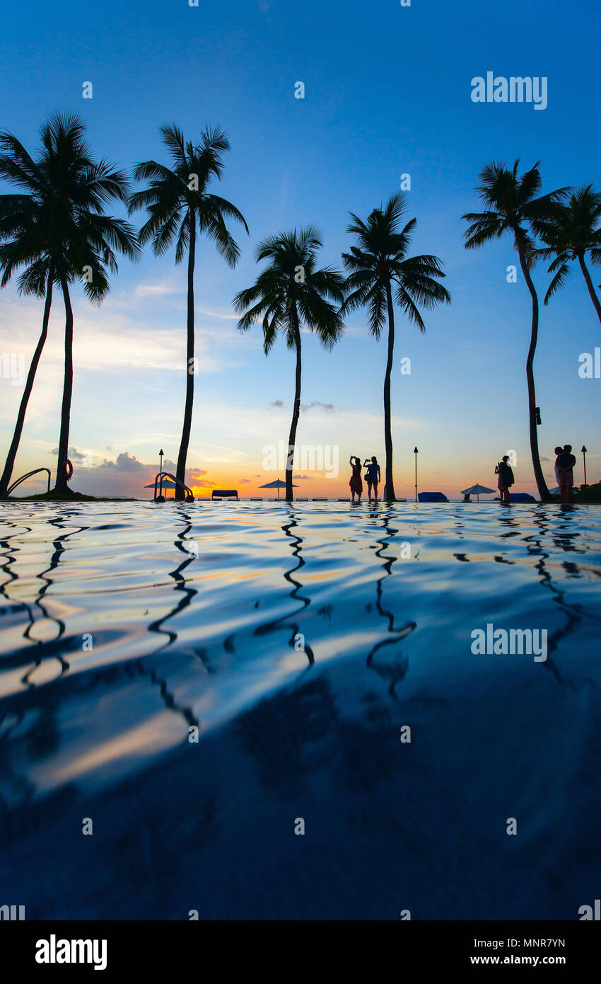 Beautiful tropical beach sunset palm hi-res stock photography and ...