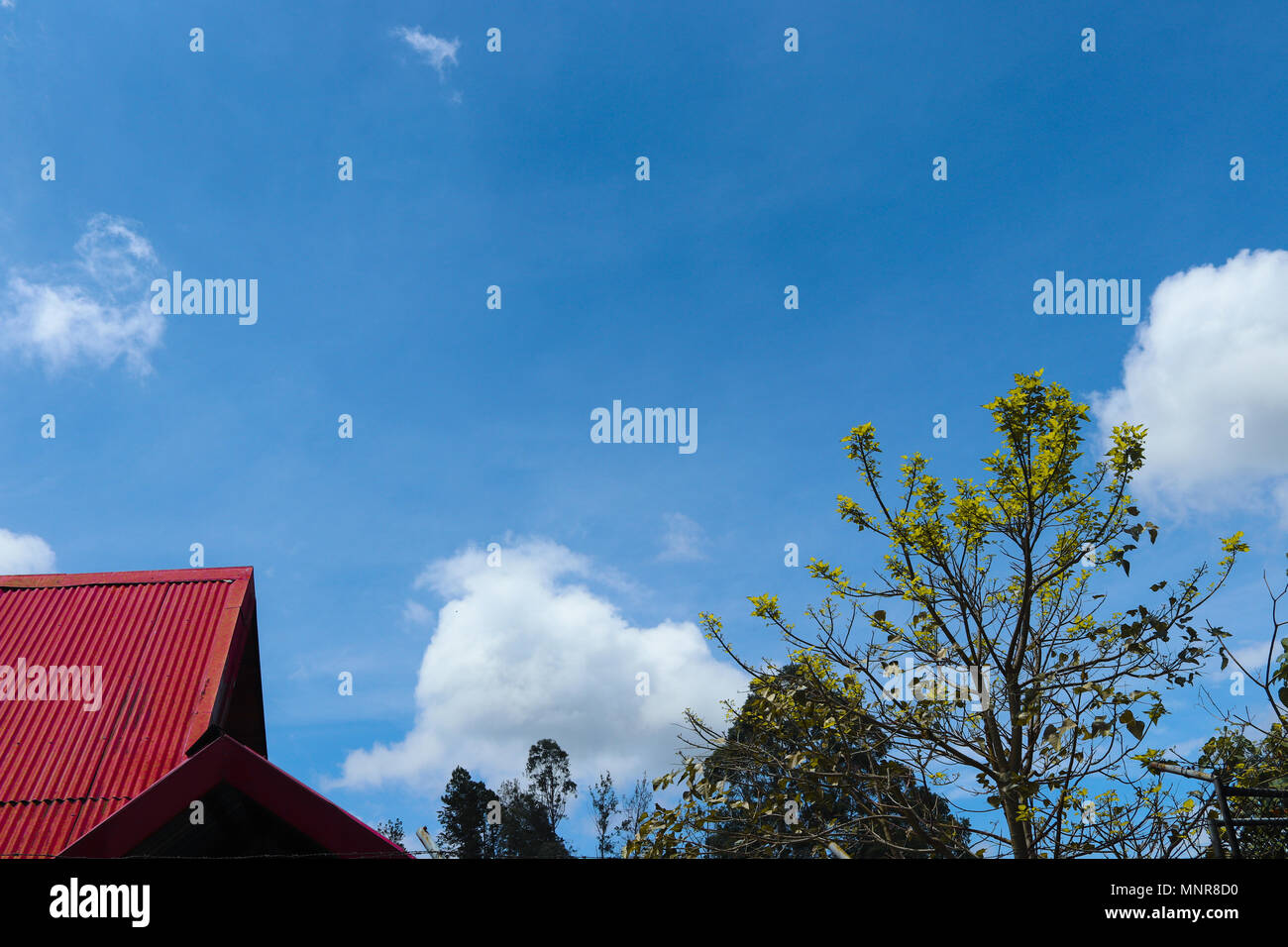 Paisaje peruano hi-res stock photography and images - Alamy