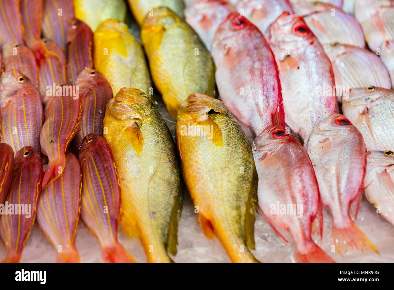 Fresh fish at seafood market in Hong Kong Stock Photo Alamy