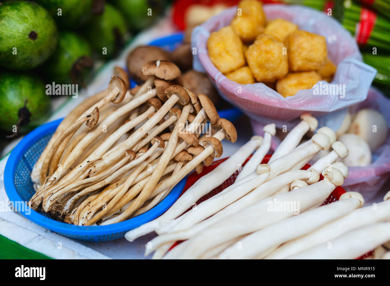 Different kinds of mushrooms at market in Hong Kong Stock Photo Alamy