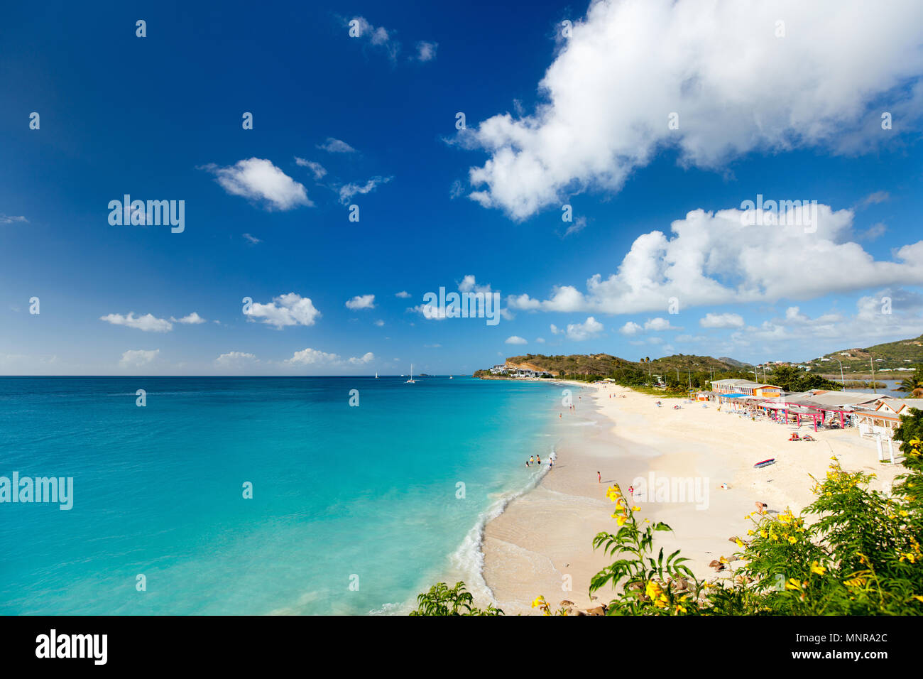 Idyllic tropical Darkwood beach at Antigua island in Caribbean with white sand, turquoise ocean water and blue sky Stock Photo