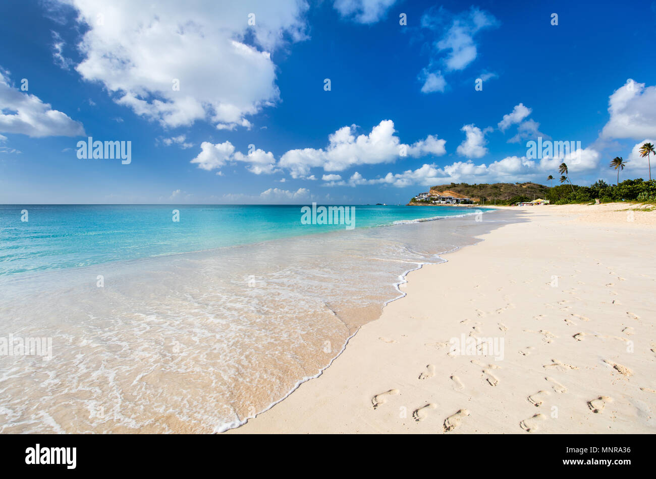Idyllic tropical Darkwood beach at Antigua island in Caribbean with white sand, turquoise ocean water and blue sky Stock Photo