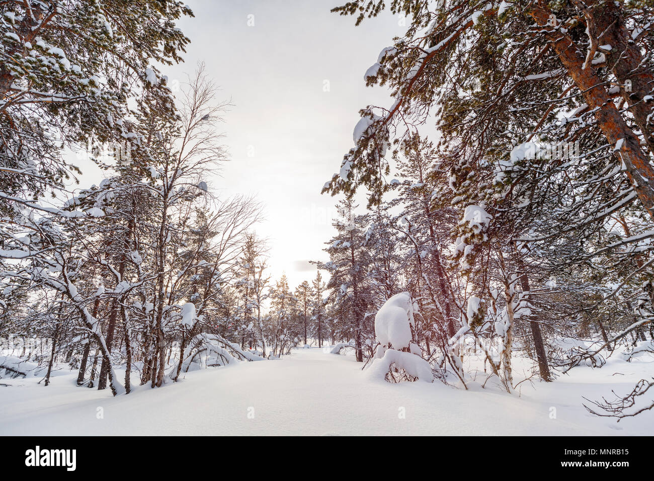 Frost Covered Landscape High Resolution Stock Photography and Images ...