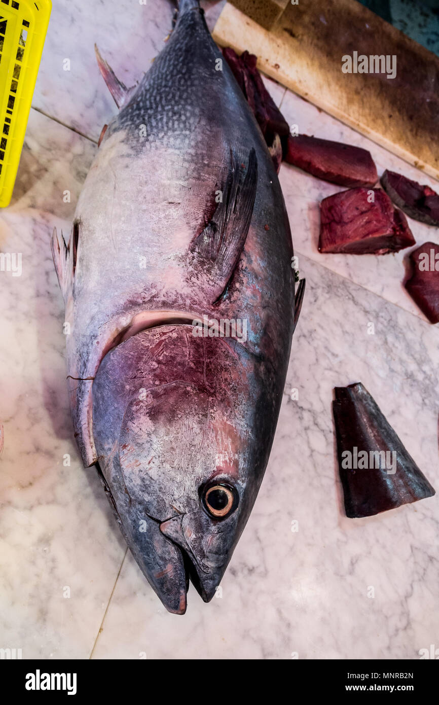 White Meat Tuna Albacore fish being prepared Stock Photo - Alamy