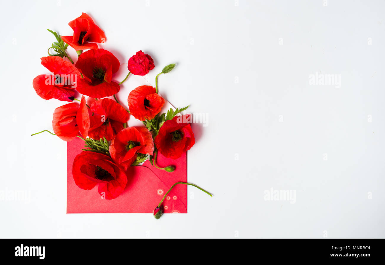 Poppy flowers arrangement in red envelope on white background Stock Photo