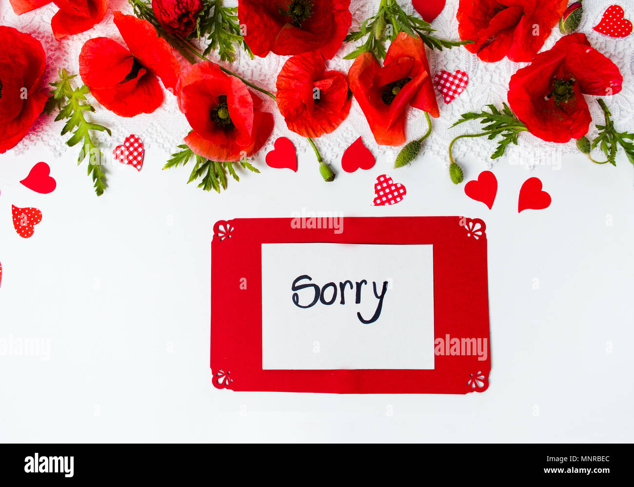 Sorry card with poppy flowers on white background top view Stock Photo