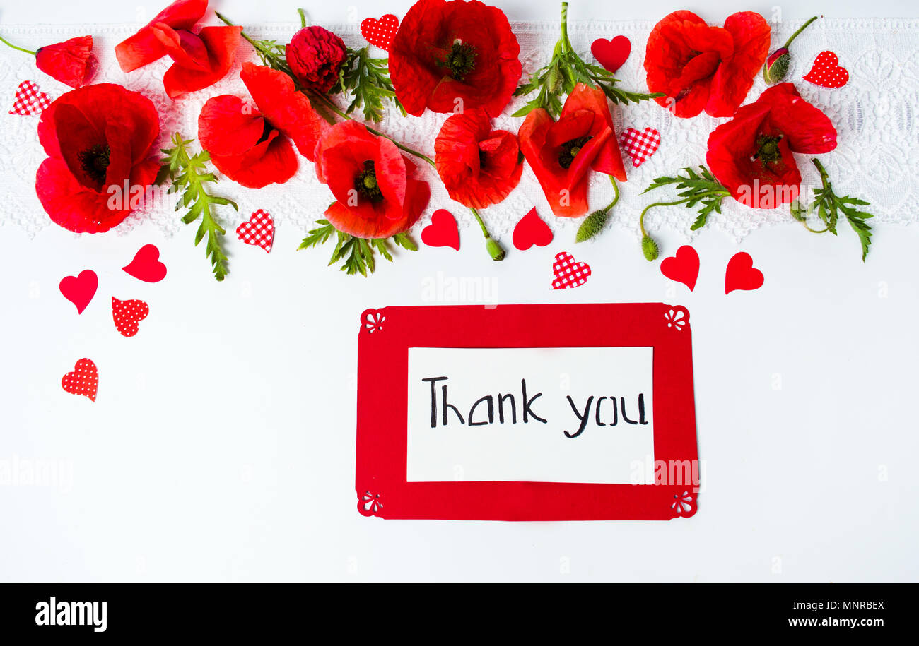 Thank you card with poppy flowers on white background Stock Photo