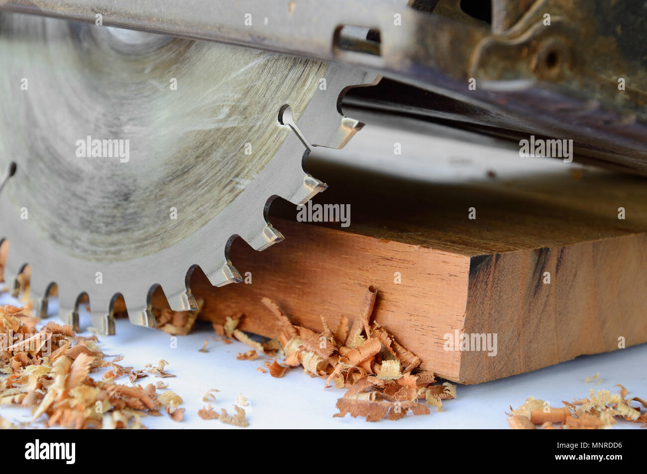 close up of circular saw and saw dust Stock Photo