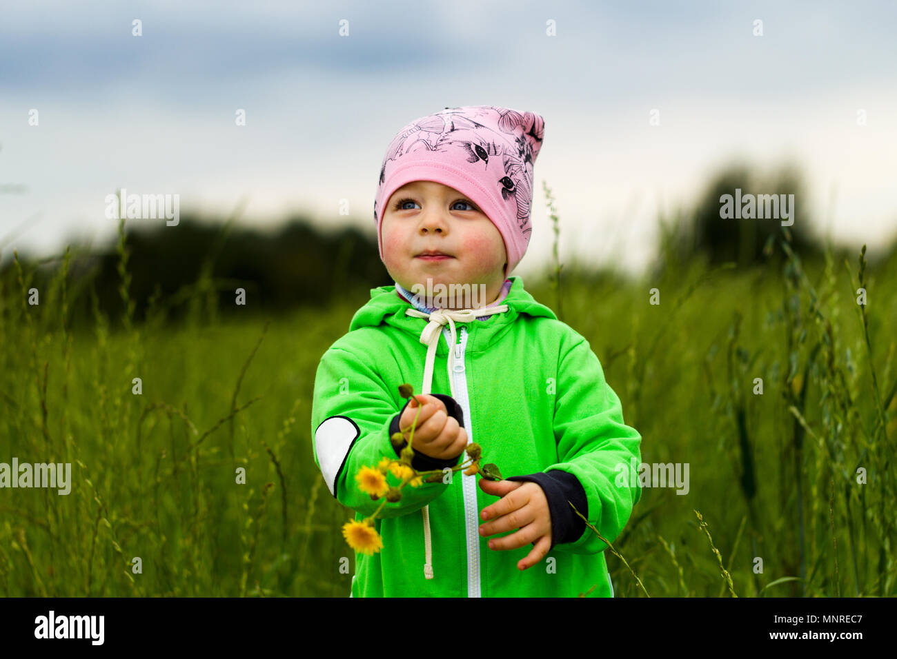 Little girl with a bouquet of wild flowers Stock Photo - Alamy