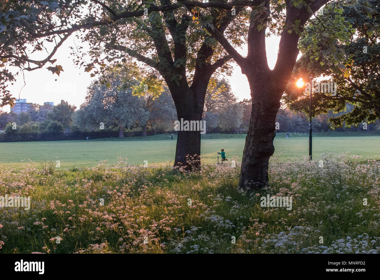 A young child scooters in a London park Stock Photo