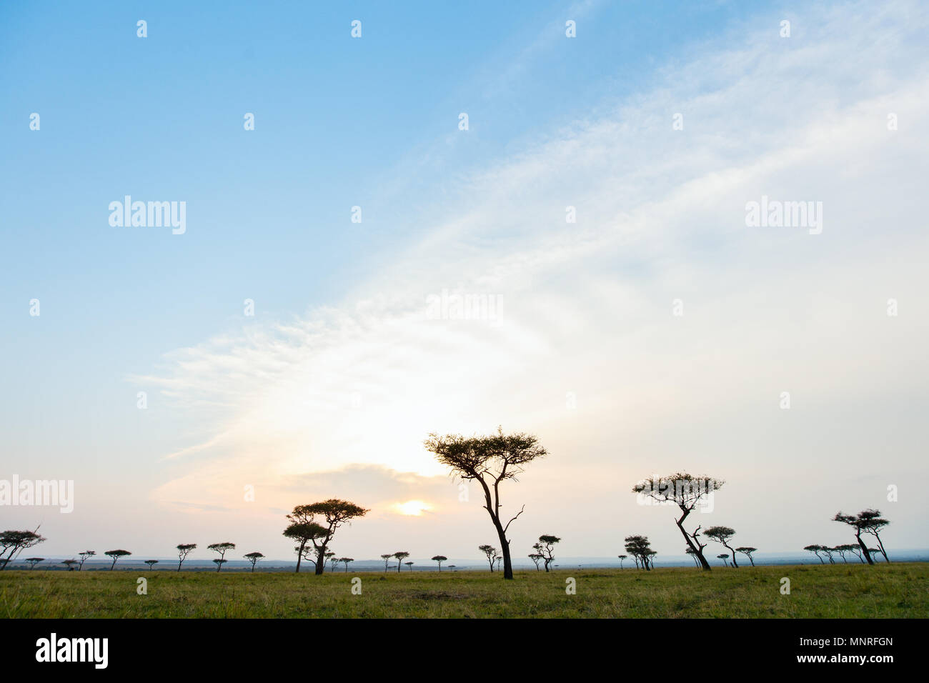 Beautiful sunset masai mara hi-res stock photography and images - Alamy