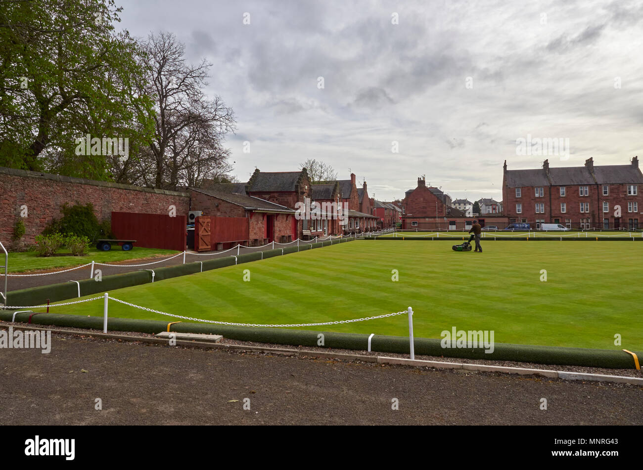 The Bowling Greens of Arbroath Abbey Bowling Club being closely mowed one early morning in May. Arbroath, Angus, Scotland. Stock Photo