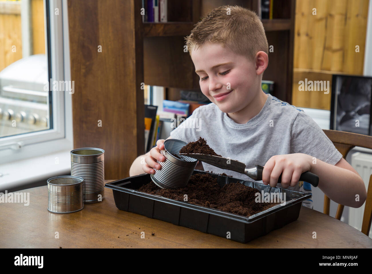 Filling an Aluminium can with compost Stock Photo Alamy
