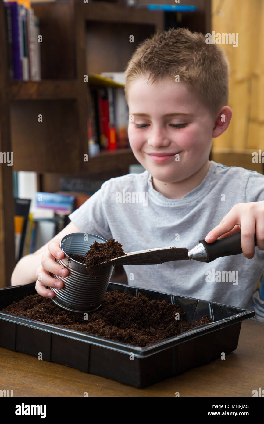 Filling an Aluminium can with compost Stock Photo Alamy