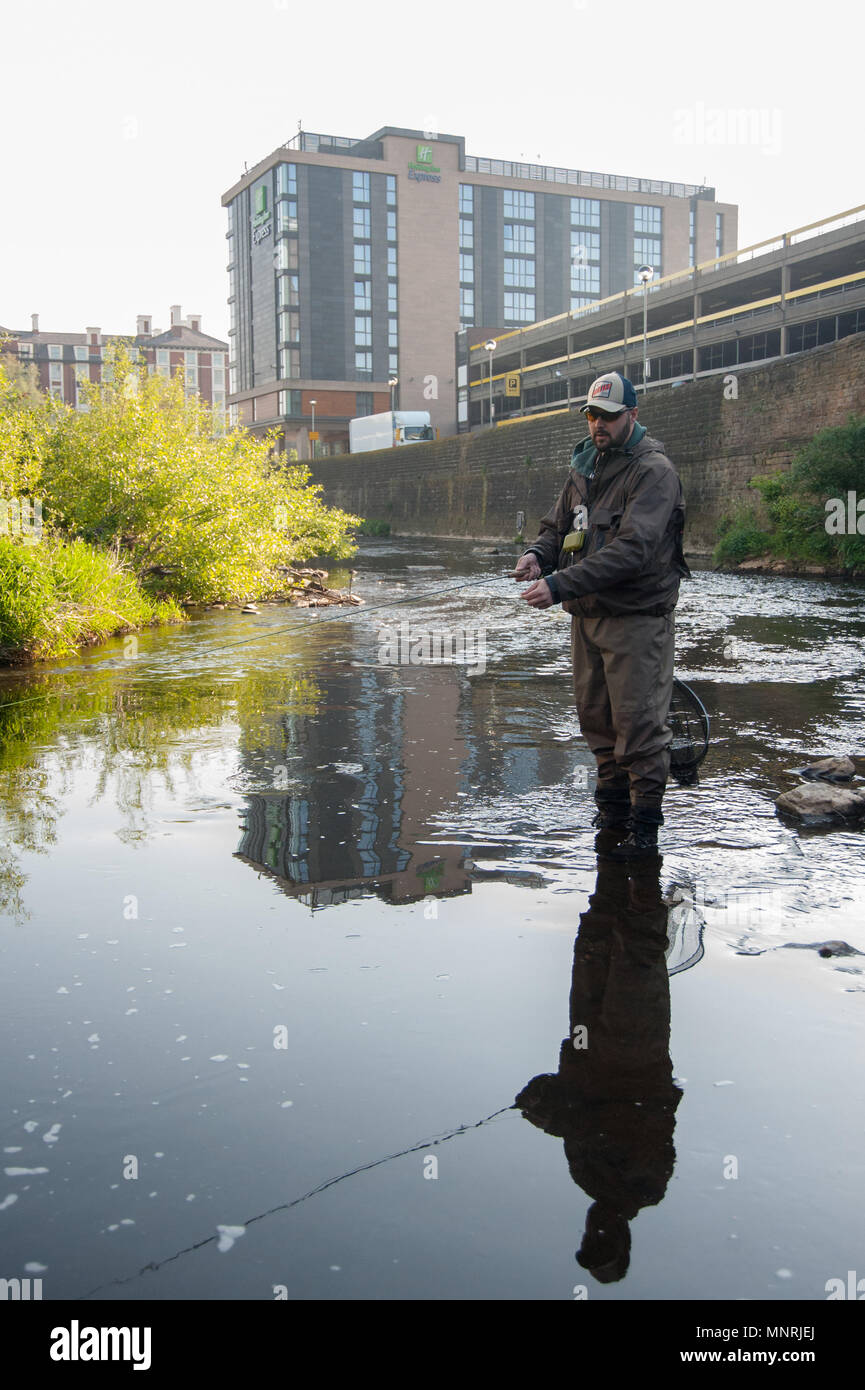Fly Fishing on the River Don, Sheffield Stock Photo Alamy