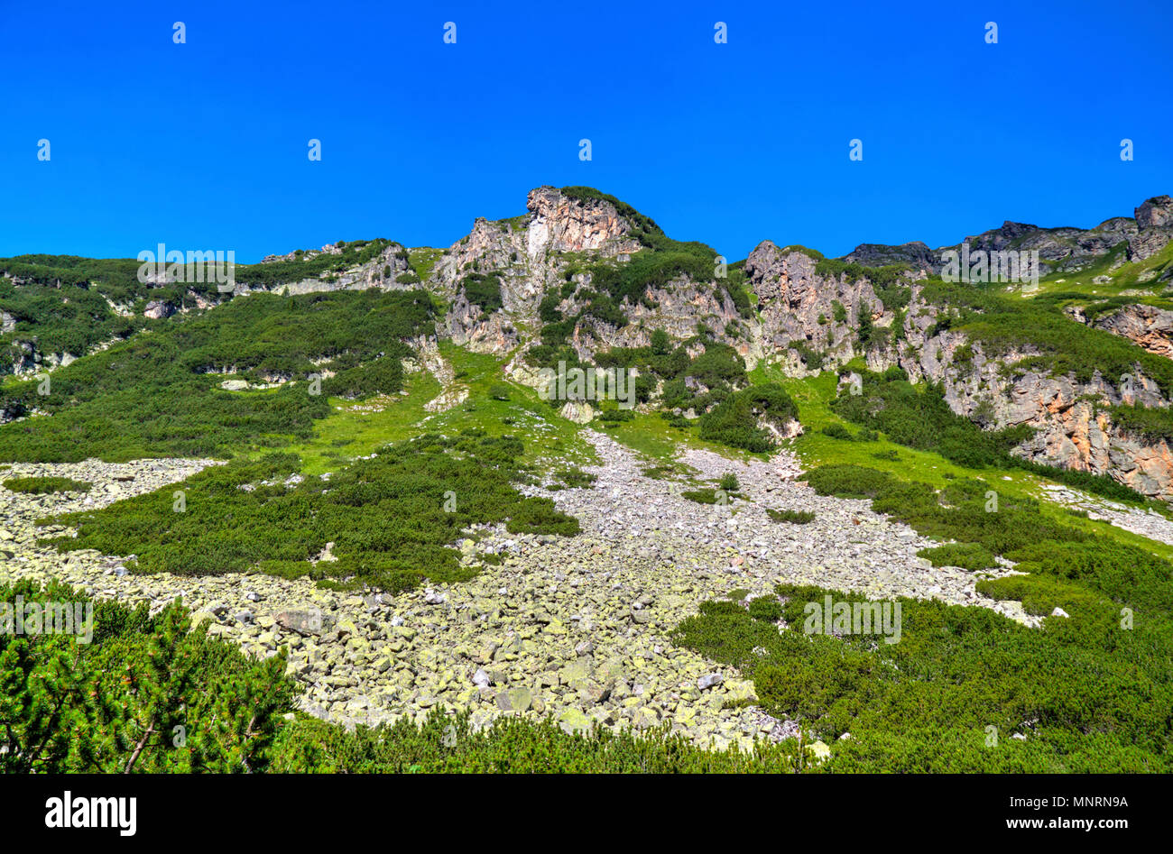 Beautiful landscape in the high mountain Stock Photo - Alamy