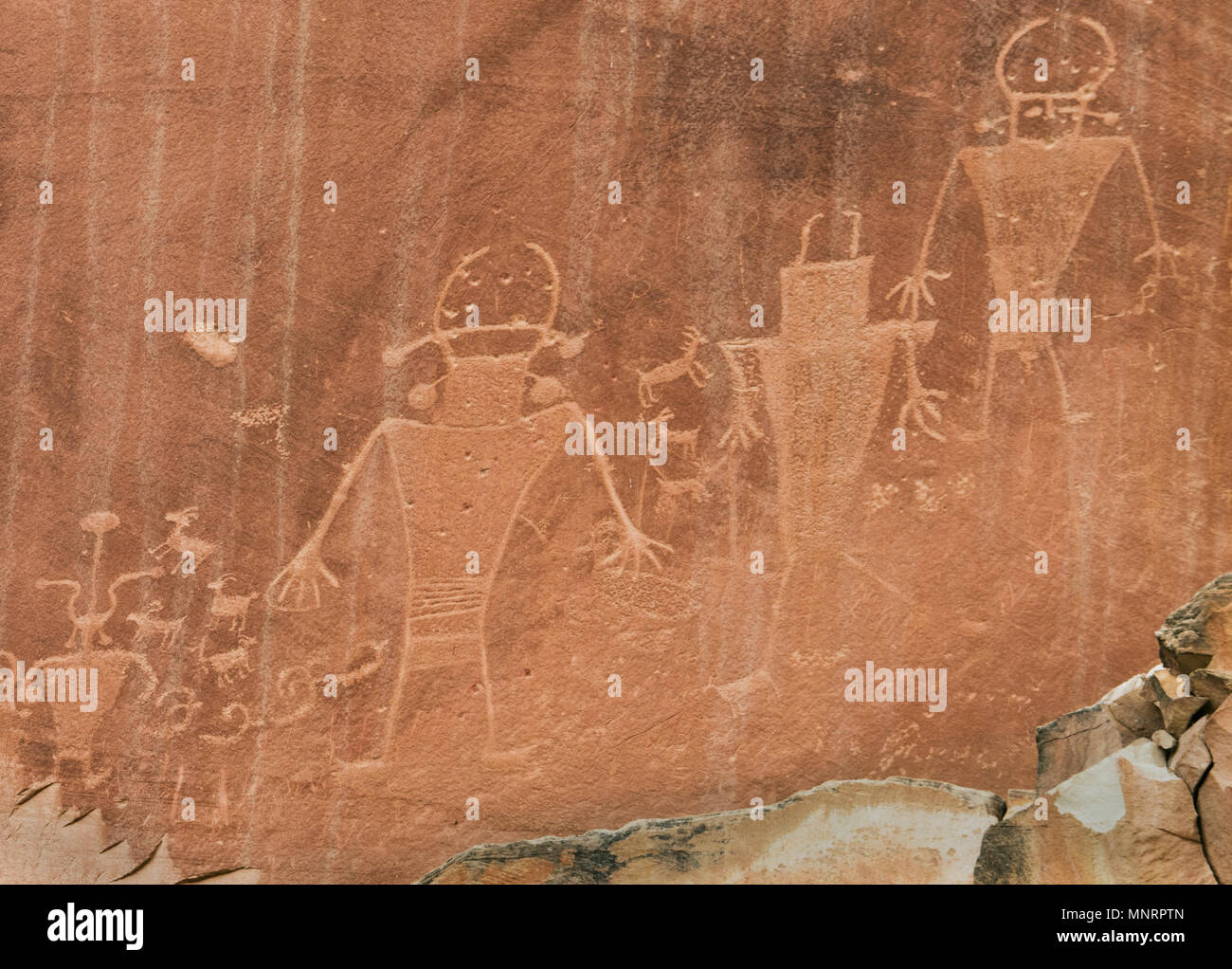 Petroglyphs, Fremont Culture, Fremont River Canyon, Capitol Reef National Park, Utah Stock Photo