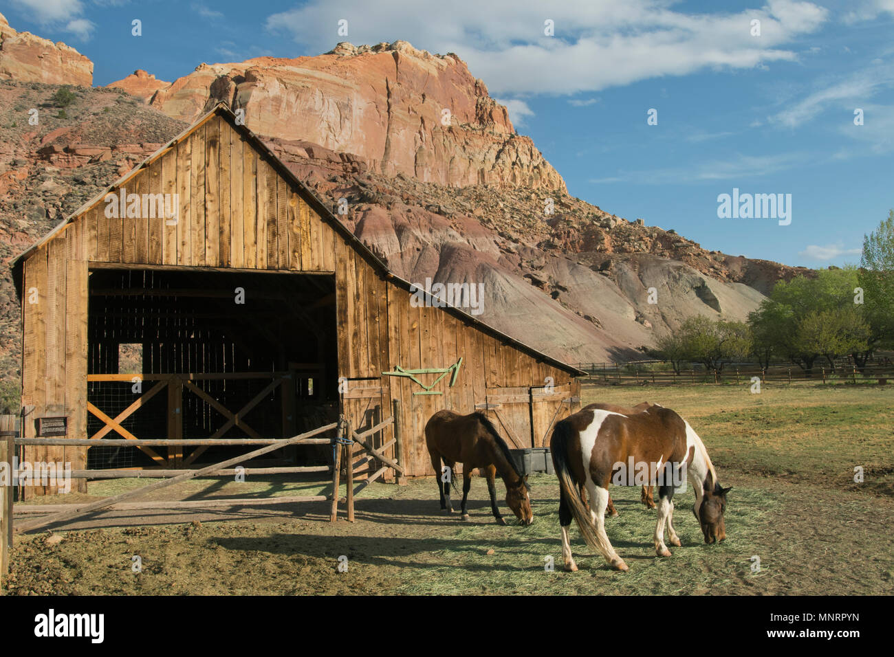 Historic ranch and barn in Fruita, Capitol Reef National Park, Utah Stock Photo