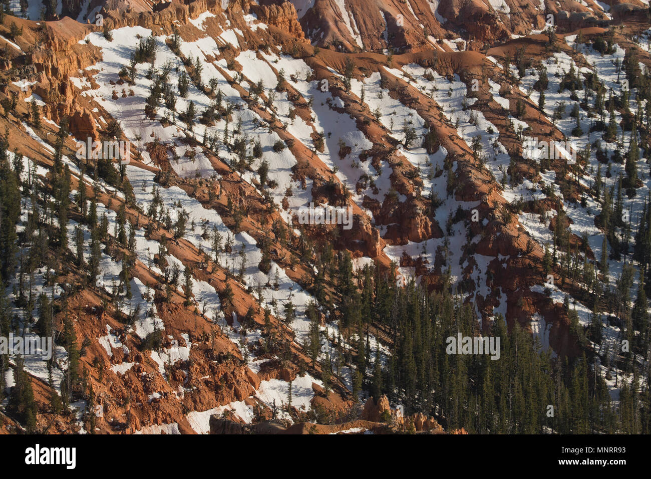 Spring snow patterns, Cedar Breaks National Monument, Utah Stock Photo