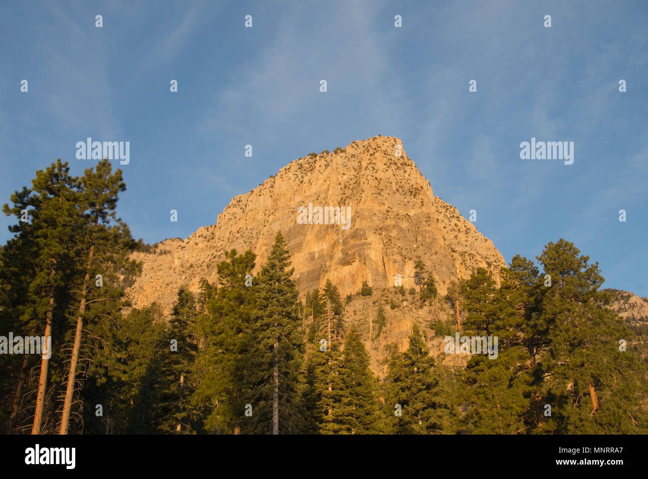 Sunrise on Cathedral Rock, Spring Mountains National Recreation area, Mt. Charleston, Nevada, wild area just outside Las Vegas Stock Photo